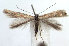  ( - DP09050)  @13 [ ] Copyright (2010) Unspecified Research Collection of W. and J. De Prins