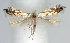  ( - DP09059)  @11 [ ] Copyright (2010) Unspecified Research Collection of W. and J. De Prins