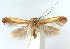  ( - DP09091)  @11 [ ] Copyright (2010) Unspecified Research Collection of W. and J. De Prins
