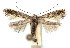  ( - DP09106)  @11 [ ] Copyright (2010) Unspecified Research Collection of W. and J. De Prins