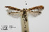  ( - DP09127)  @12 [ ] Copyright (2010) Unspecified  Swedish Museum of Natural History