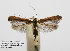  ( - DP09128)  @12 [ ] Copyright (2010) Unspecified  Swedish Museum of Natural History