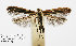  ( - DP09129)  @12 [ ] Copyright (2010) Unspecified Research Collection of W. and J. De Prins