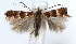  ( - DP09154)  @12 [ ] Copyright (2010) Unspecified Research Collection of W. and J. De Prins