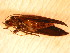  ( - FG20)  @12 [ ] Copyright (2011) Florence Gutzwiller Unspecified