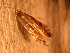  ( - FloG158)  @12 [ ] Copyright (2011) Florence Gutzwiller Unspecified