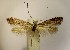  ( - LB2comps)  @11 [ ] Copyright (2012) Zdenek Lastuvka Unspecified