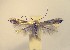  ( - LG3scitu)  @13 [ ] Copyright (2012) Zdenek Lastuvka Unspecified
