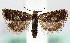  ( - MM26372)  @11 [ ] CreativeCommons  Attribution Non-Commercial Share-Alike (2022) Unspecified University of Oulu