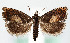  ( - MM26697)  @11 [ ] CreativeCommons  Attribution Non-Commercial Share-Alike (2022) Unspecified University of Oulu