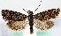  ( - MM26699)  @11 [ ] CreativeCommons  Attribution Non-Commercial Share-Alike (2022) Unspecified University of Oulu