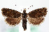  ( - MM26703)  @11 [ ] CreativeCommons  Attribution Non-Commercial Share-Alike (2022) Unspecified University of Oulu