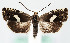  ( - MM26710)  @11 [ ] CreativeCommons  Attribution Non-Commercial Share-Alike (2022) Unspecified University of Oulu