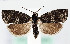  ( - MM26714)  @11 [ ] CreativeCommons  Attribution Non-Commercial Share-Alike (2022) Unspecified University of Oulu