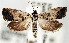  ( - USNMENT.01480314)  @11 [ ] CreativeCommons  Attribution Non-Commercial Share-Alike (2022) Unspecified University of Oulu