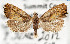  ( - USNMENT.01480322)  @11 [ ] CreativeCommons  Attribution Non-Commercial Share-Alike (2022) Unspecified University of Oulu