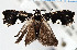  ( - USNMENT.01480325)  @11 [ ] CreativeCommons  Attribution Non-Commercial Share-Alike (2022) Unspecified University of Oulu