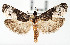  ( - USNMENT.01480328)  @11 [ ] CreativeCommons  Attribution Non-Commercial Share-Alike (2022) Unspecified University of Oulu