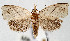  ( - USNMENT.01480341)  @11 [ ] CreativeCommons  Attribution Non-Commercial Share-Alike (2022) Unspecified University of Oulu