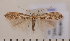  ( - CLV1535)  @12 [ ] Copyright (2011) David C. Lees Research Collection of David C. Lees