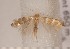  ( - CLV1639)  @12 [ ] Copyright (2010) David C. Lees Unspecified