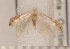 ( - CLV1681)  @12 [ ] Copyright (2010) David C. Lees Unspecified