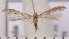  ( - CLV1744)  @12 [ ] Copyright (2010) David C. Lees Research Collection of David C. Lees