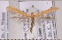  ( - CLV1798)  @14 [ ] Copyright (2010) David C. Lees Research Collection of David C. Lees