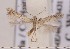  ( - CLV1836)  @12 [ ] Copyright (2010) David C. Lees Research Collection of David C. Lees