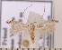  ( - CLV1847)  @13 [ ] Copyright (2010) David C. Lees Research Collection of David C. Lees