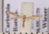  ( - CLV1857)  @12 [ ] Copyright (2010) David C. Lees Research Collection of David C. Lees