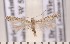  ( - CLV1864)  @12 [ ] Copyright (2010) David C. Lees Research Collection of David C. Lees