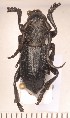  ( - CLV2071)  @12 [ ] Copyright (2011) David C. Lees Unspecified