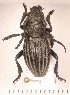  ( - CLV2073)  @11 [ ] Copyright (2011) David C. Lees Unspecified