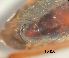  ( - ATBI000015420)  @11 [ ] by (2023) Unspecified Discover Life in America