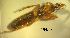  ( - ATBI000015420)  @11 [ ] by (2023) Unspecified Discover Life in America