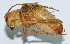  ( - DBJ-28)  @13 [ ] CreativeCommons - Attribution (2010) Zhi-Jun Zhou Centre for Biodiversity Genomics