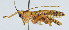  ( - DBJ-72)  @13 [ ] CreativeCommons - Attribution (2010) Zhi-Jun Zhou Centre for Biodiversity Genomics