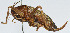  ( - DBJ-73)  @13 [ ] CreativeCommons - Attribution (2010) Zhi-Jun Zhou Centre for Biodiversity Genomics