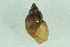  ( - 07PROBE 00634)  @14 [ ] CreativeCommons - Attribution (2010) Unspecified Centre for Biodiversity Genomics