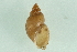  ( - 07PROBE 00636)  @14 [ ] CreativeCommons - Attribution (2010) Unspecified Centre for Biodiversity Genomics