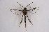  ( - CCDB-04611 E10)  @13 [ ] CreativeCommons - Attribution Non-Commercial Share-Alike (2010) Sesiidae Research Group Sesiidae Research Group