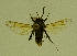  ( - CCDB-04645 A03)  @13 [ ] CreativeCommons - Attribution Non-Commercial Share-Alike (2009) Unspecified Sesiidae Research Group
