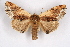  ( - CCDB-04645 D10)  @13 [ ] Unspecified (default): All Rights Reserved  Unspecified Unspecified
