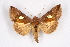  ( - CCDB-04645 F02)  @14 [ ] Unspecified (default): All Rights Reserved  Unspecified Unspecified
