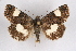  ( - CCDB-04645 H07)  @14 [ ] Unspecified (default): All Rights Reserved  Unspecified Unspecified