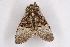  ( - CCDB-02114 F05)  @13 [ ] Unspecified (default): All Rights Reserved  Unspecified Unspecified