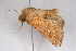  ( - CCDB-02114 G11)  @11 [ ] Unspecified (default): All Rights Reserved  Unspecified Unspecified