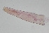  ( - CSE8563)  @11 [ ] CreativeCommons - Attribution Share-Alike (2025) Unspecified Research Collection of Charley Eiseman
