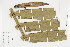  (Wettinia hirsuta - IAvH-CT-14094)  @11 [ ] CreativeCommons - Attribution Non-Commercial Share-Alike (2019) Herbario FMB Instituto de Investigacion Alexander von Humboldt IAvH